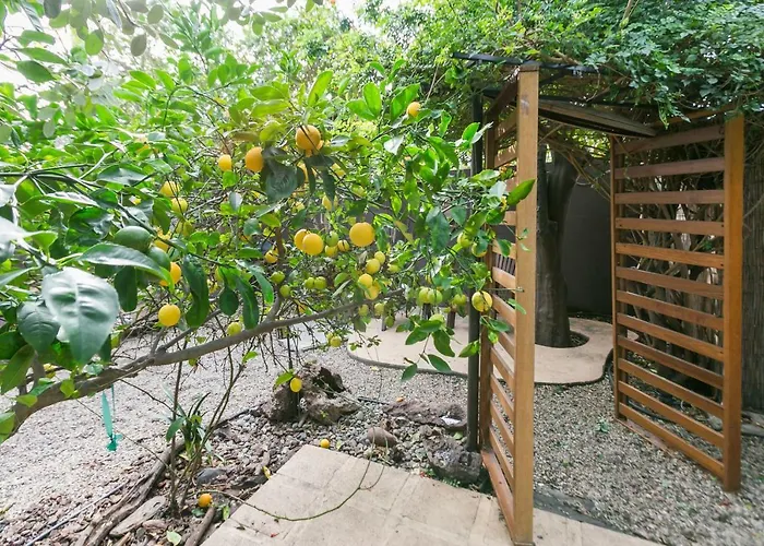 Charming 1-Bedroom Home Near Downtown Culver
